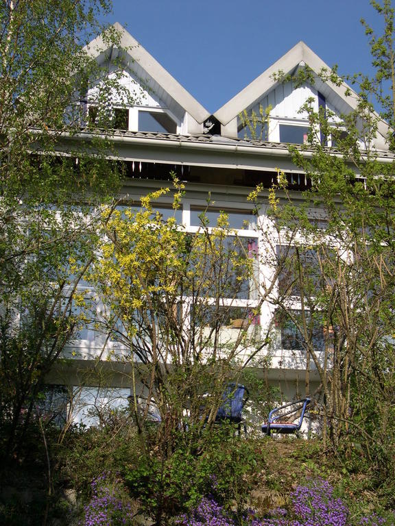 Gesundheitshotel Haus Sonnenstein Salem  Exterior foto